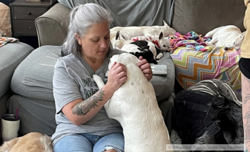 Валери Рийд откри хоспис за възрастни и неизлечимо болни кучета