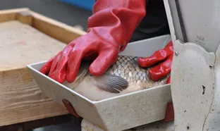 Снимка ПиксабейНаближава един от най тачените празници – Никулден Както всички