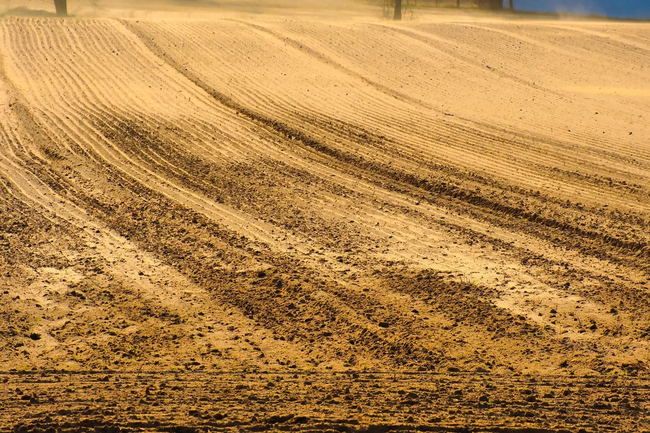 Редактор Вихрогон бгСеверозападна България измести Добруджа като регион с най