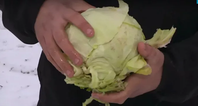 Кадри Нова ТВПореден случай на земеделски производител който поради невъзможността